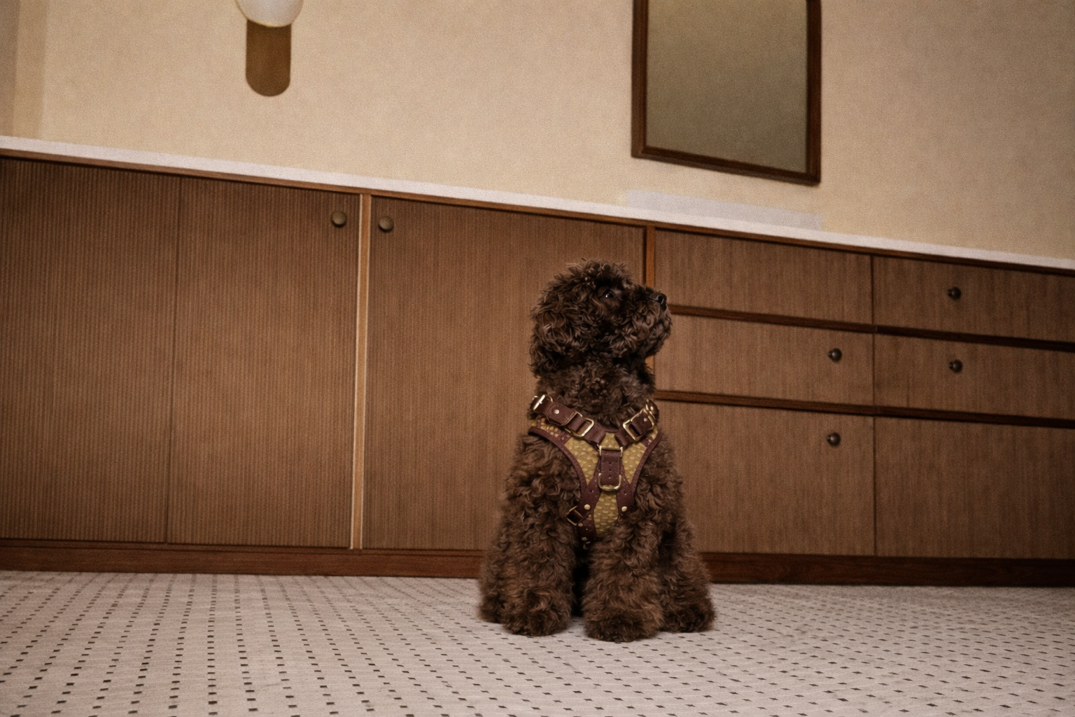 Dog sitting on a tiled floor in front of wooden cabinets.